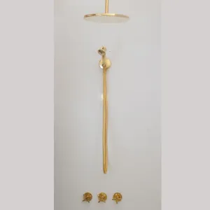 Brass Shower Fixtures - Dual Shower Head (Ceiling mount shower head/Handheld shower)