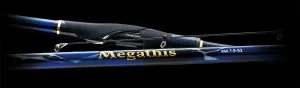 Daiwa Megathis AGS