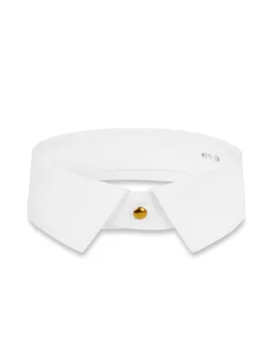 Detachable Collar