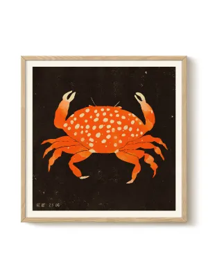 Enikő Eged - Spotted Crab