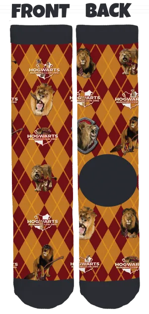 Gryffindor Socks