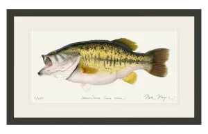 Largemouth Bass II, 14 lb Sharelunker Print