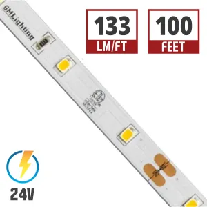 LTR-E Econo LED Strip Light, 100ft Reel, 3000K, 133 Lumens per Ft, 24V