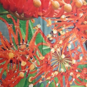MERINO WOOL SCARF FIRE WHEEL