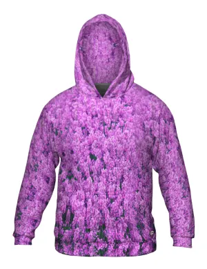 Norfolk Lavenderl