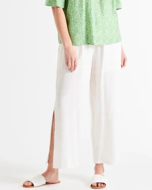 Reef Pant
