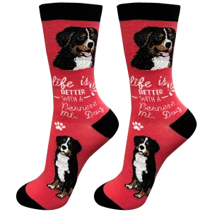 Socks  Bernese mt.      840-52