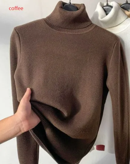Turtle Neck Winter Sweater Women Elegant Thick Warm Female Knitted Pullover Loose Basic Knitwear | Brodtica.com