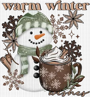Warm winter /sleeve