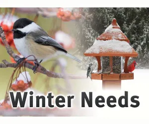 Winter Sign